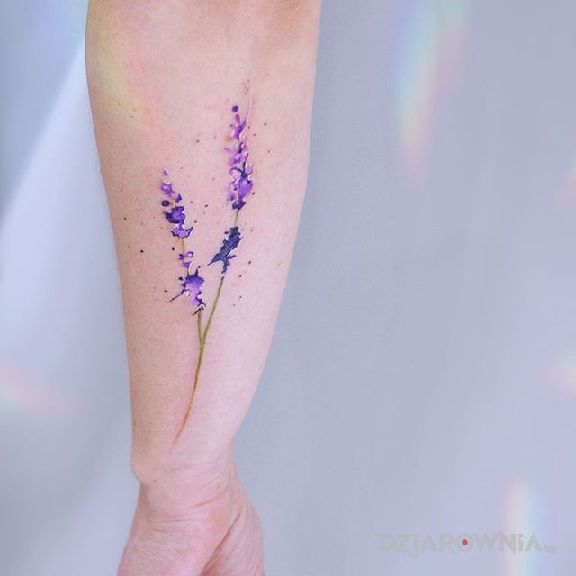Tatuaż lawenda w motywie kwiaty i stylu watercolor na przedramieniu
