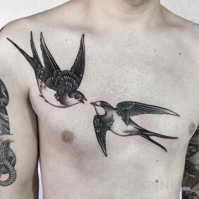 Tattoo Swallows on the chest motif: black and gray style: graphic / illustrative