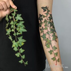 Tattoo Ivy on the forearm motif: colorful style: realistic