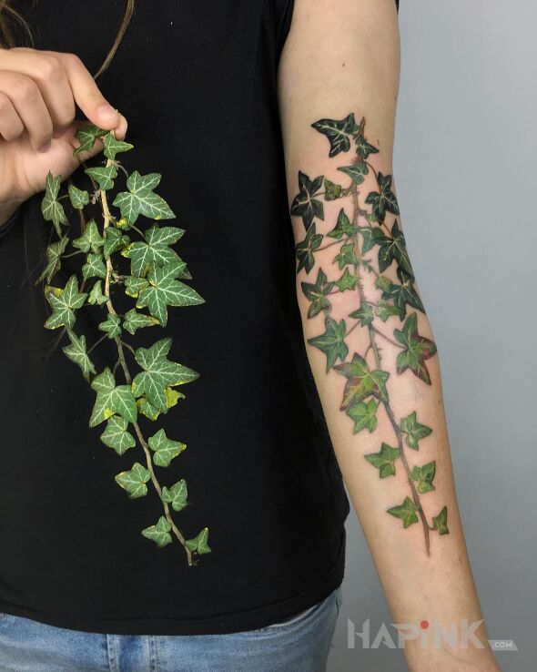 Tattoo Bluszcz in colorful motif and realistic style on the forearm
