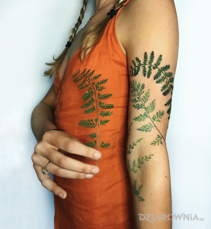 Tatuaż trzy gałązki w motywie kwiaty i stylu realistyczne na ramieniu