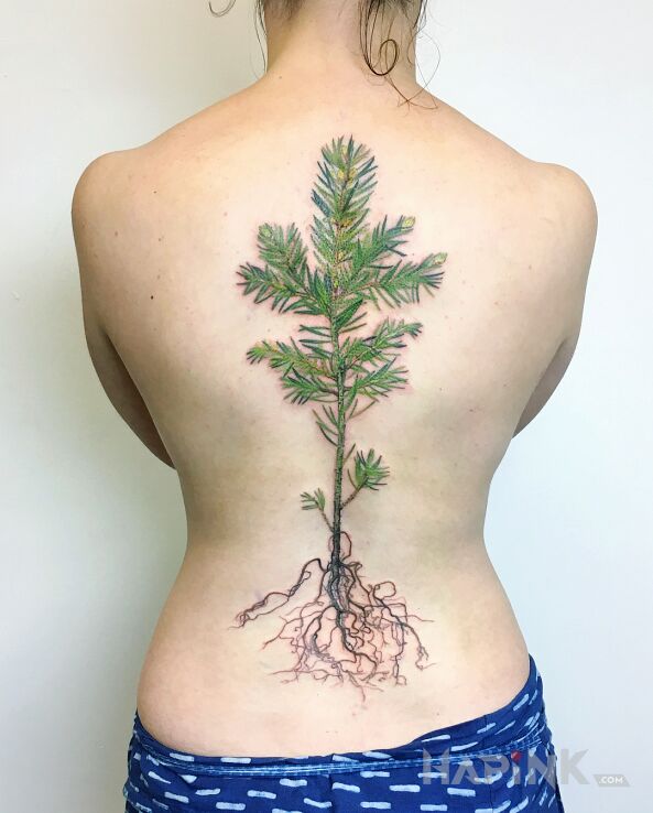 Tattoo Roślina i korzenie in flowers motif and realistic style on the back