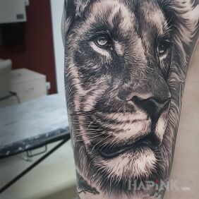 Tattoo The lion and the giraffes on the upper arm motif: 3D style: realistic
