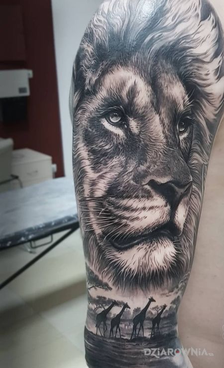 Tatuaż lew i żyrafy w motywie czarno-szare i stylu realistyczne na ramieniu