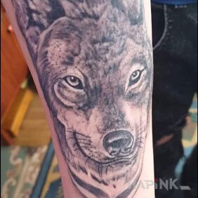 Tattoo My start with tattoos on the forearm motif: animals style: realistic
