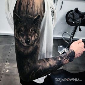 Tatuaż Rękaw z wilkiem i lasem na ramieniu motyw: rękawy styl: realistyczne