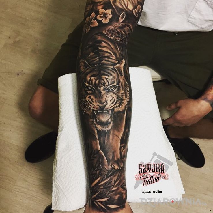 Tatuaż tygrys w motywie czarno-szare i stylu realistyczne na przedramieniu