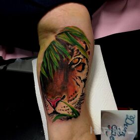 Tattoo Tiger on the upper arm motif: cover-up style: realistic