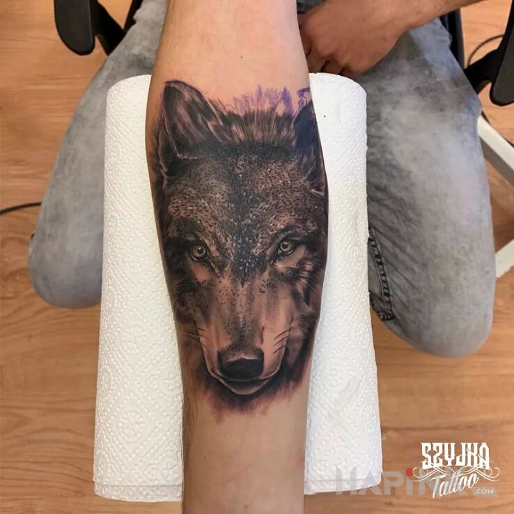 Tattoo Wilczysko in progress. in black and gray motif and realistic style on the forearm