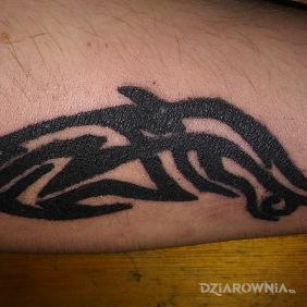 Tatuaż Pierwsza dziara :) na przedramieniu styl: tribale