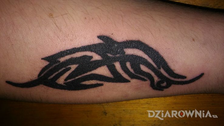 Tatuaż pierwsza dziara w stylu tribale na przedramieniu