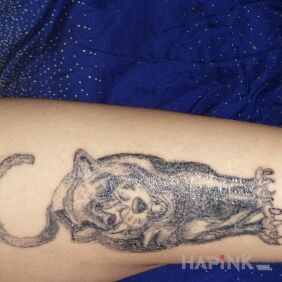 Tattoo Filled on the leg motif: animals style: graphic / illustrative