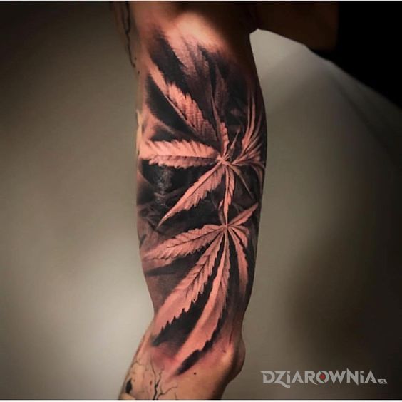 Tatuaż liście marihuany w motywie 3D i stylu realistyczne na ramieniu