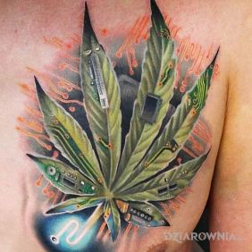 Tatuaż Marihuana technologiczna na klatce motyw: kolorowe styl: realistyczne