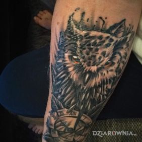 Tatuaż Sowa na przedramieniu motyw: czarno-szare styl: realistyczne