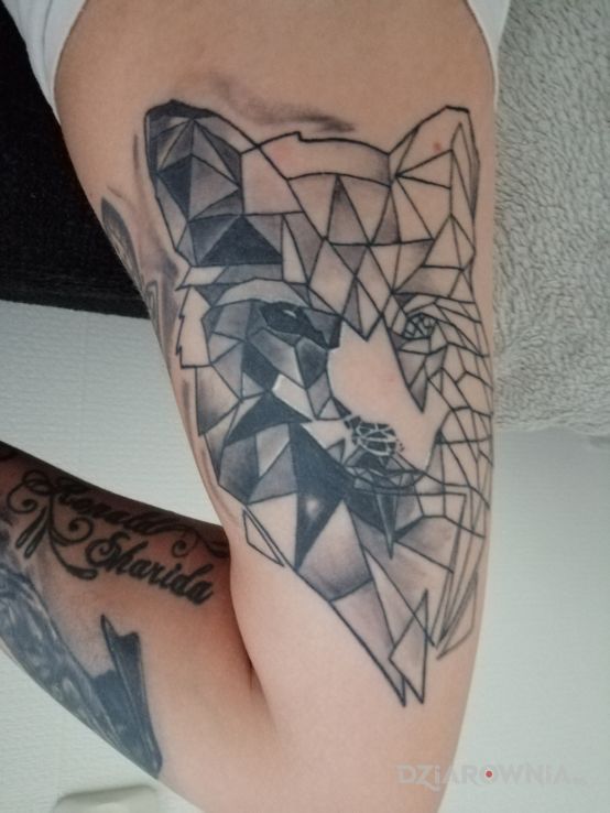 Tatuaż lis fox w motywie czarno-szare i stylu graficzne / ilustracyjne na ramieniu