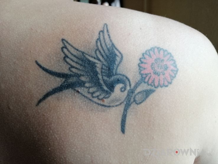 Tatuaż ptak w motywie czarno-szare i stylu graficzne / ilustracyjne na łopatkach