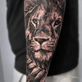 Tatuaż Lew na przedramieniu motyw: znaki zodiaku styl: realistyczne