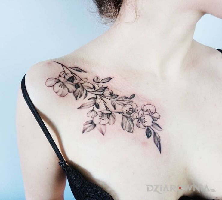 Tatuaż gałązka wiśni w motywie czarno-szare i stylu realistyczne na obojczyku