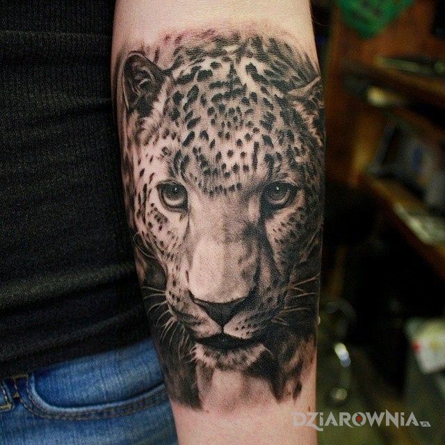Tatuaż gepard w motywie zwierzęta na przedramieniu