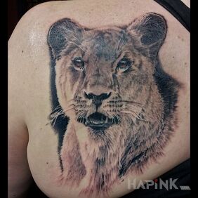 Tattoo Realistic lioness on the shoulder blades motif: black and gray style: realistic