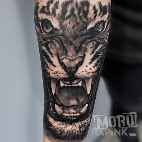 Tattoo Tiger, the wild cat on the forearm motif: 3D style: realistic