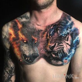 Tattoo Wolf vs tiger on the chest motif: colorful style: realistic