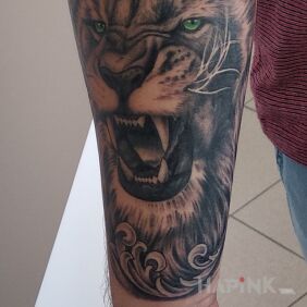 Tattoo Lion Lion on the forearm motif: black and gray style: realistic