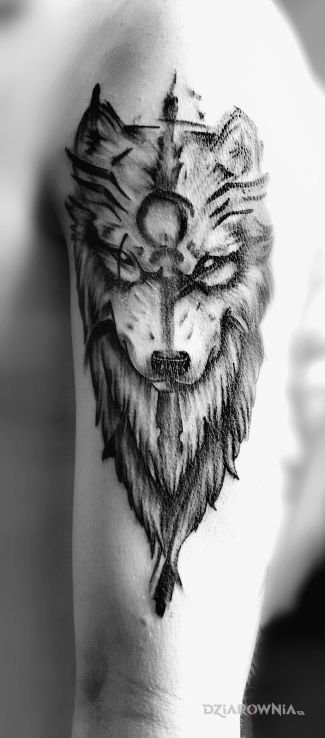 Tatuaż wilk w motywie czarno-szare i stylu graficzne / ilustracyjne na ramieniu