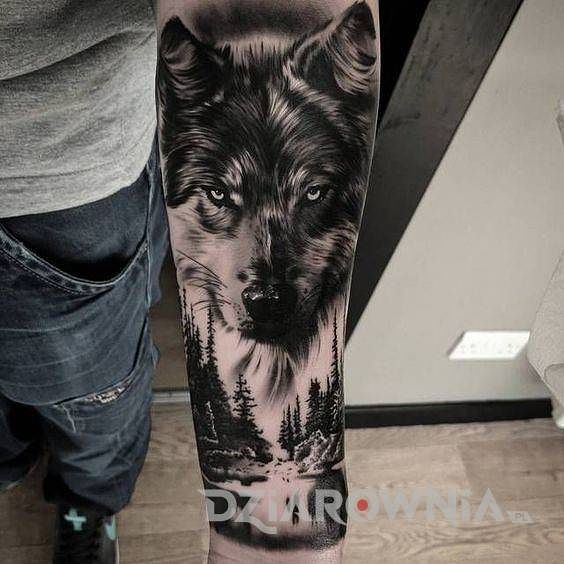 Tatuaż realistyczny wilk nad lasem na przedramieniu