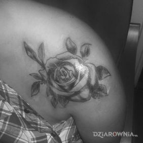 Tatuaż Róża na ramieniu motyw: kwiaty