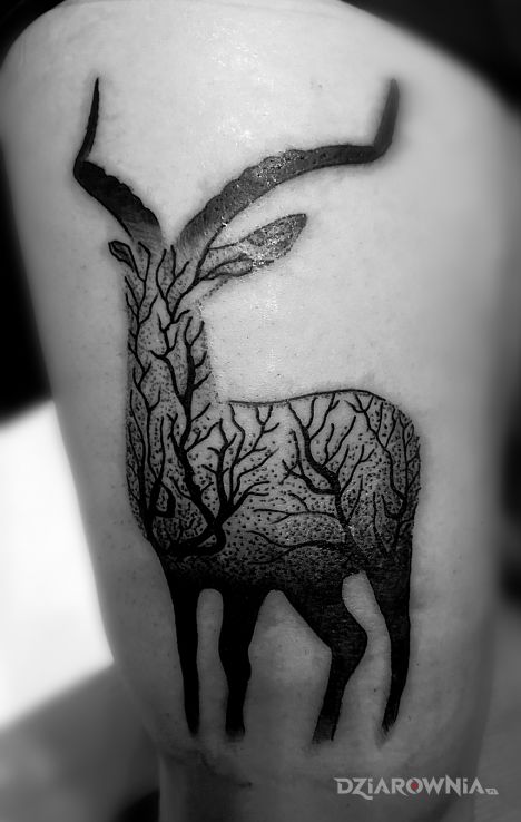 Tatuaż mała wariacja w motywie zwierzęta i stylu graficzne / ilustracyjne na nodze