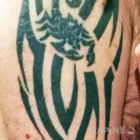 Tattoo Tribal on the upper arm motif: black and gray style: tribal