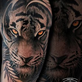 Tattoo Tiger-cover on the upper arm motif: animals style: realistic