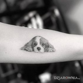 Tatuaż Piesek na przedramieniu motyw: zwierzęta styl: realistyczne