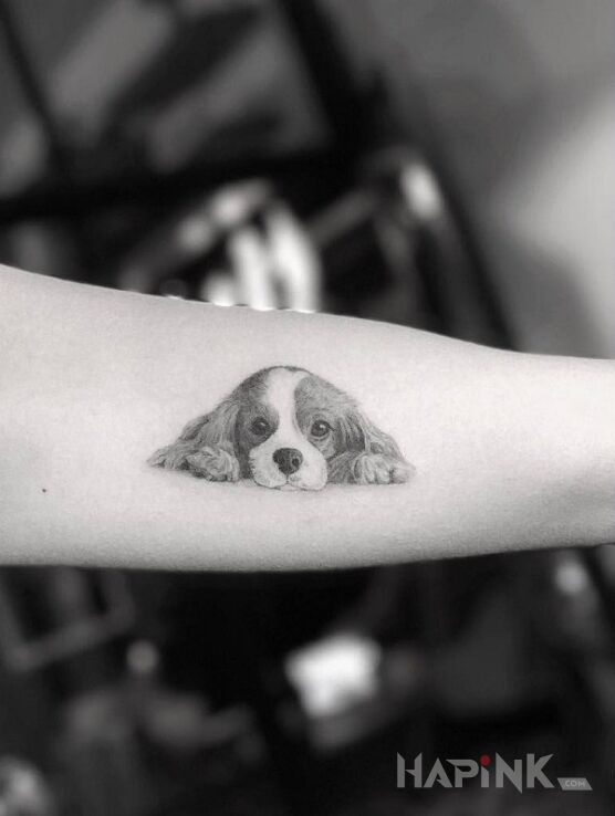 Tattoo Piesek in animals motif and realistic style on the forearm