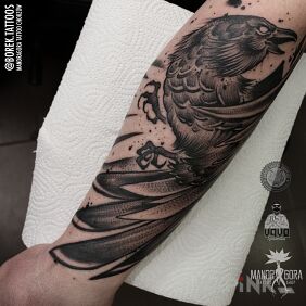 Tattoo Raven on the forearm motif: black and gray style: graphic / illustrative