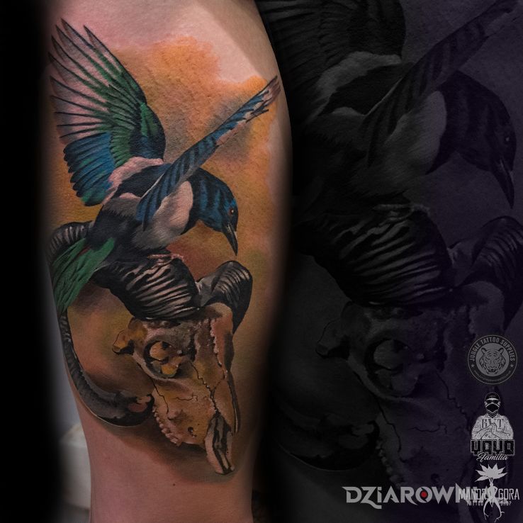 Tatuaż ptak w motywie kolorowe i stylu realistyczne na nodze