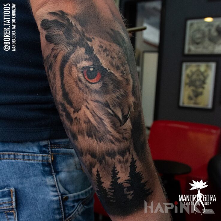 Tattoo Sowa in black and gray motif and realistic style on the forearm