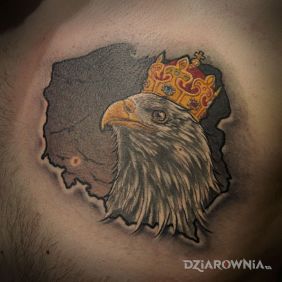 Tatuaż Orzeł królewski na łopatkach motyw: patriotyczne
