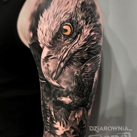 Tatuaż Orzeł, orły, las na ramieniu motyw: czarno-szare styl: realistyczne