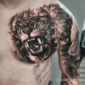 Tatuaż Lew na klatce motyw: czarno-szare styl: realistyczne