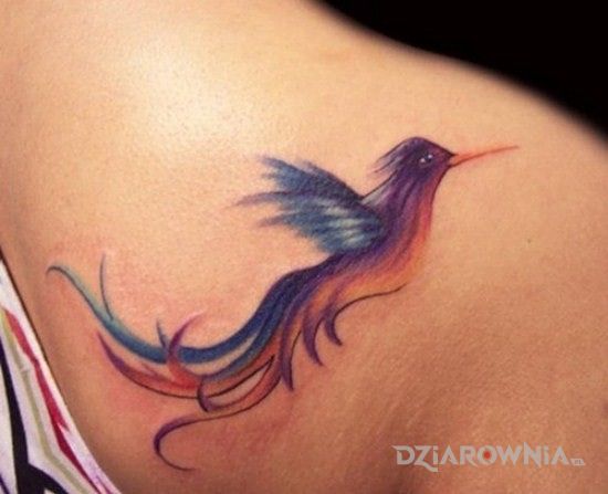 Tatuaż niebieski ptak w motywie kolorowe na łopatkach
