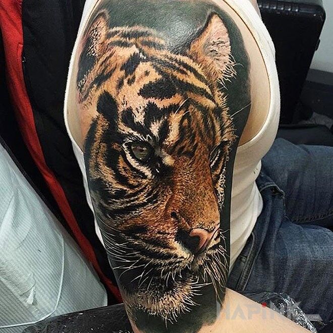Tattoo Tygrys in animals motif on the upper arm