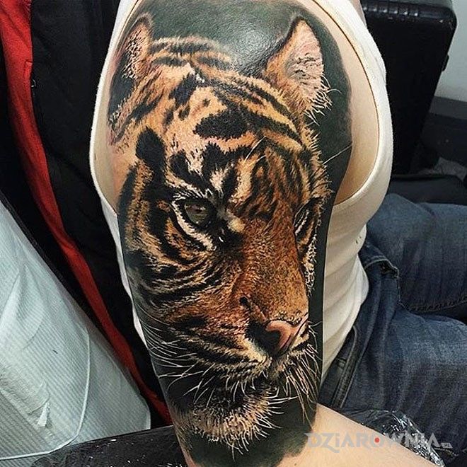 Tatuaż tygrys w motywie zwierzęta na ramieniu