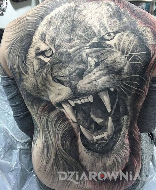 Realistyczny tatuaż ryczącego lwa na całych plecach
