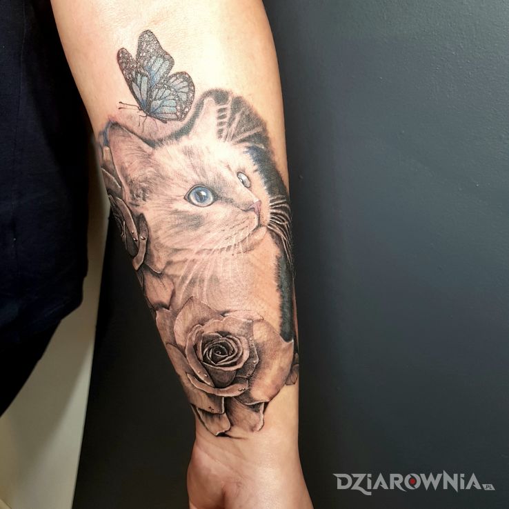 Tatuaż kicia w motywie motyle i stylu realistyczne na przedramieniu
