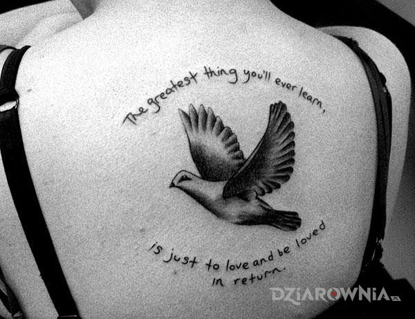 Tatuaż napis na plecach i gołąb w motywie napisy na plecach