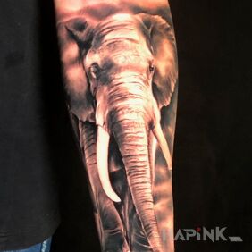 Tattoo Elephant on the forearm motif: black and gray style: realistic