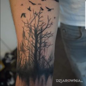 Tatuaż Lasek na przedramieniu motyw: pozostałe styl: graficzne / ilustracyjne
